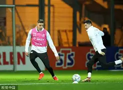 九游- 莱万什么水平 